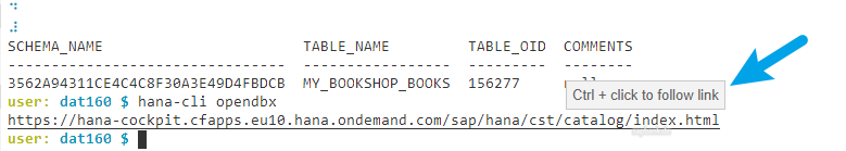 SAP Business Application Studio 16